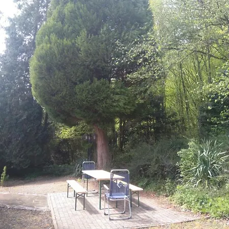 A L'orée Du Bois